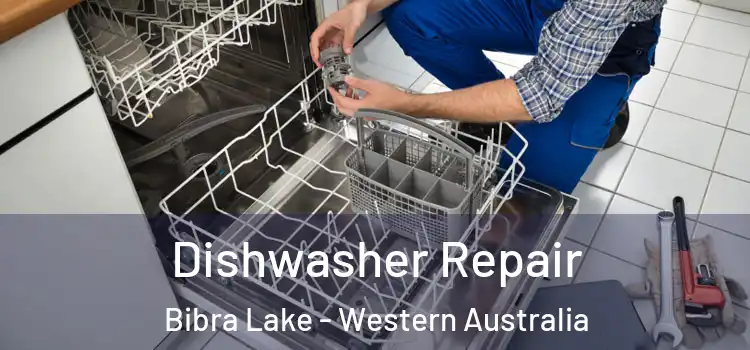 Dishwasher Repair Bibra Lake - Western Australia