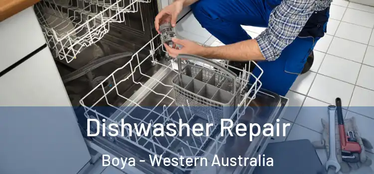 Dishwasher Repair Boya - Western Australia