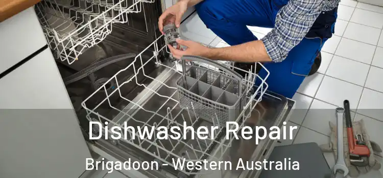 Dishwasher Repair Brigadoon - Western Australia