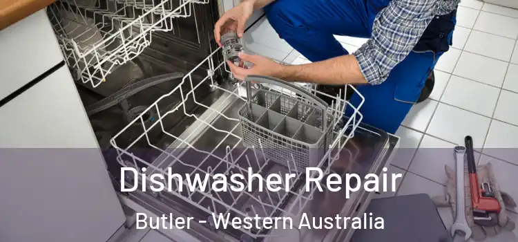 Dishwasher Repair Butler - Western Australia