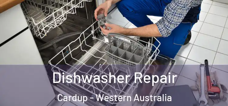 Dishwasher Repair Cardup - Western Australia