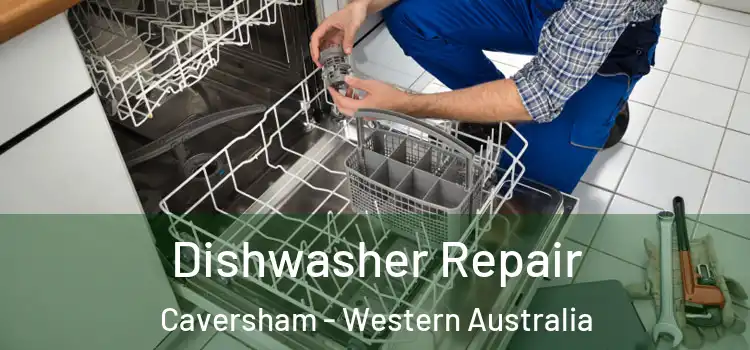Dishwasher Repair Caversham - Western Australia