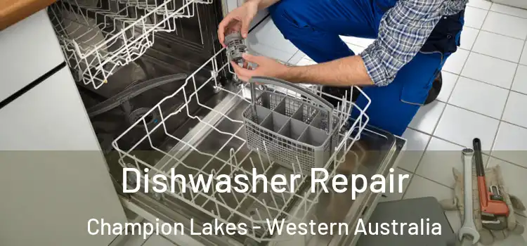Dishwasher Repair Champion Lakes - Western Australia