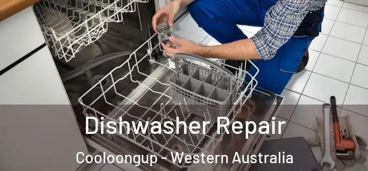 Dishwasher Repair Cooloongup - Western Australia