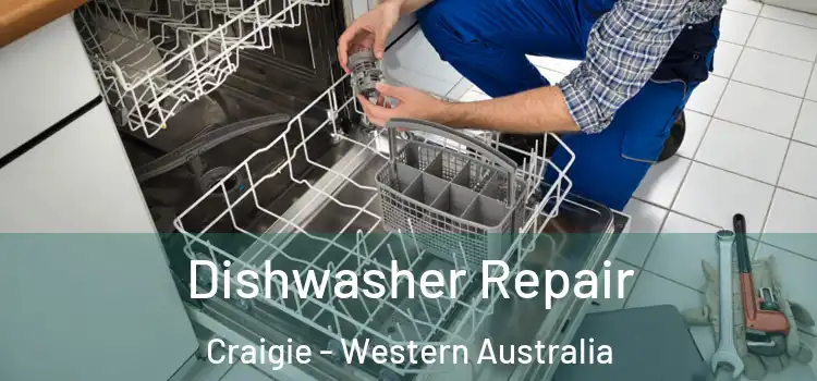 Dishwasher Repair Craigie - Western Australia