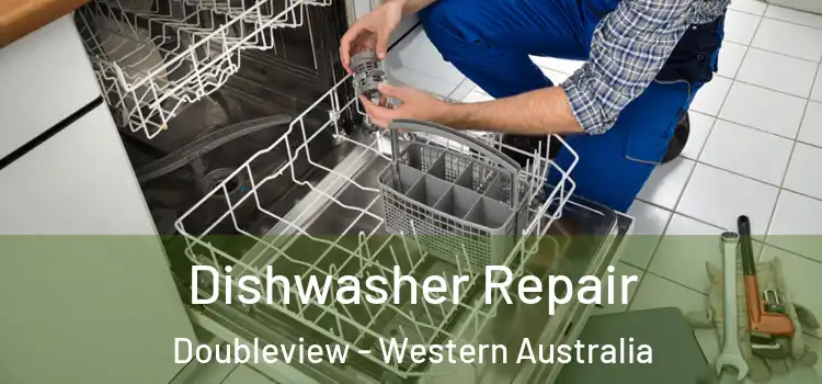 Dishwasher Repair Doubleview - Western Australia