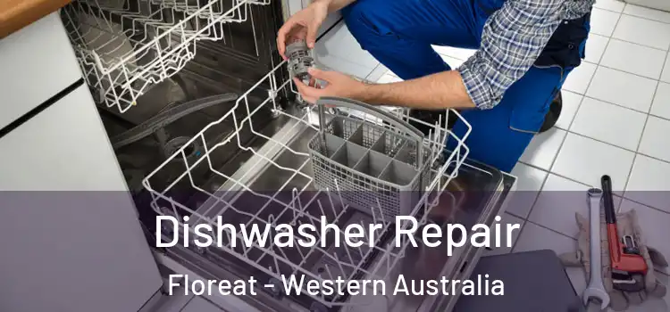 Dishwasher Repair Floreat - Western Australia
