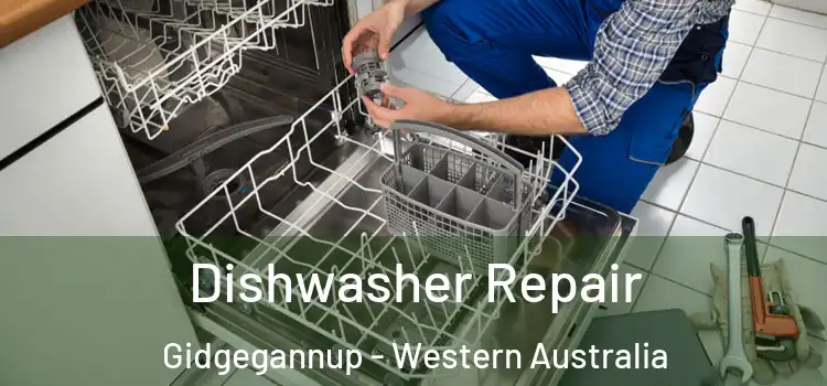 Dishwasher Repair Gidgegannup - Western Australia