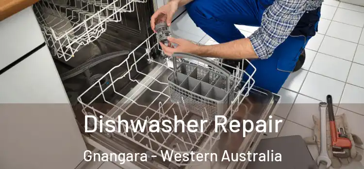 Dishwasher Repair Gnangara - Western Australia