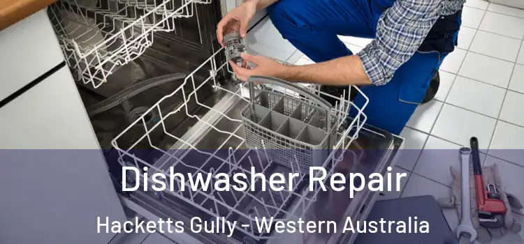 Dishwasher Repair Hacketts Gully - Western Australia