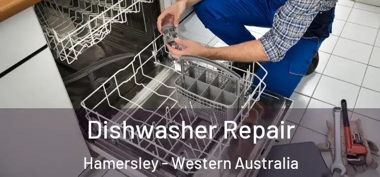 Dishwasher Repair Hamersley - Western Australia