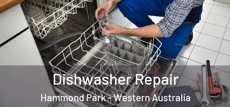 Dishwasher Repair Hammond Park - Western Australia