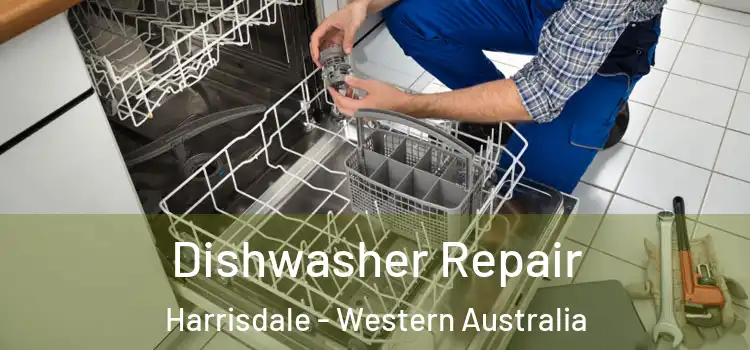 Dishwasher Repair Harrisdale - Western Australia
