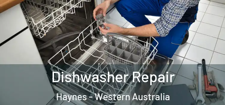 Dishwasher Repair Haynes - Western Australia