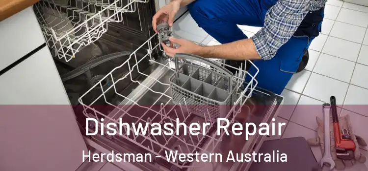 Dishwasher Repair Herdsman - Western Australia