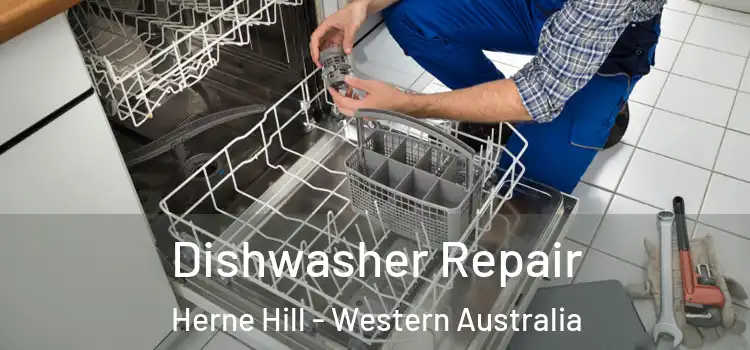 Dishwasher Repair Herne Hill - Western Australia