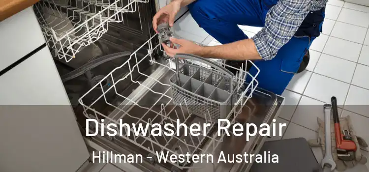 Dishwasher Repair Hillman - Western Australia