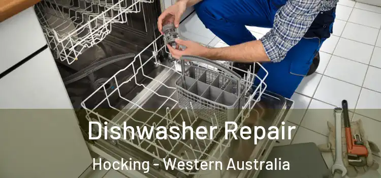 Dishwasher Repair Hocking - Western Australia