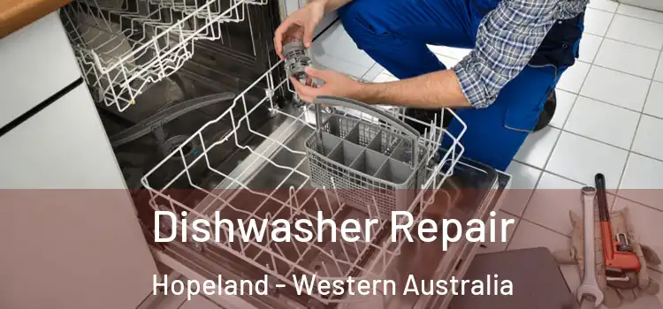 Dishwasher Repair Hopeland - Western Australia