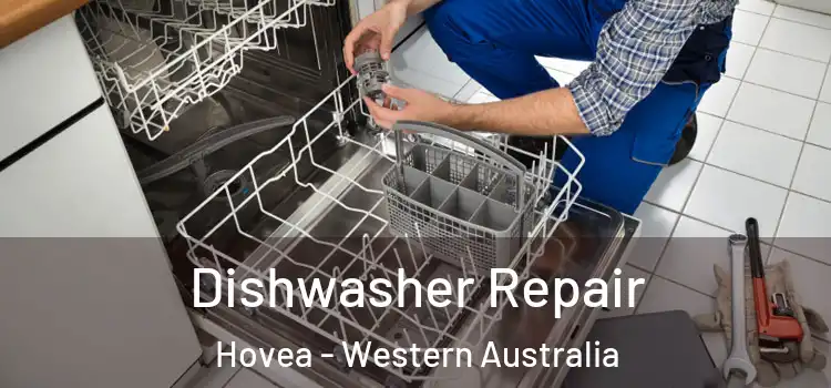 Dishwasher Repair Hovea - Western Australia