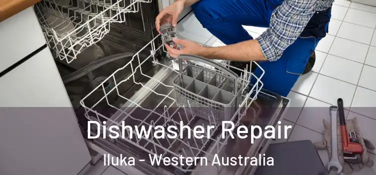 Dishwasher Repair Iluka - Western Australia
