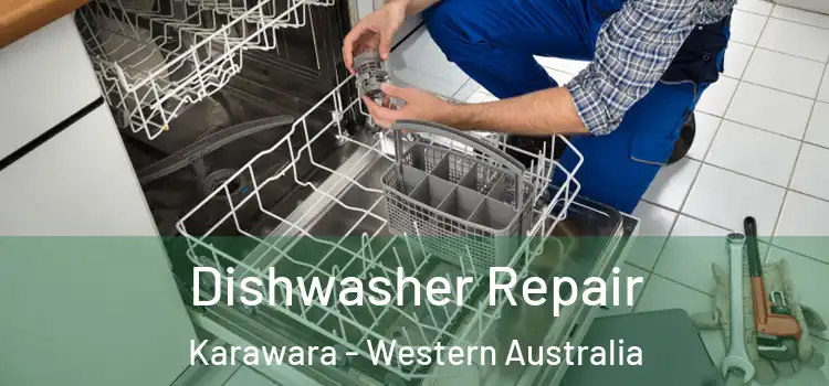 Dishwasher Repair Karawara - Western Australia