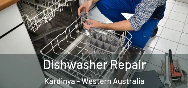 Dishwasher Repair Kardinya - Western Australia