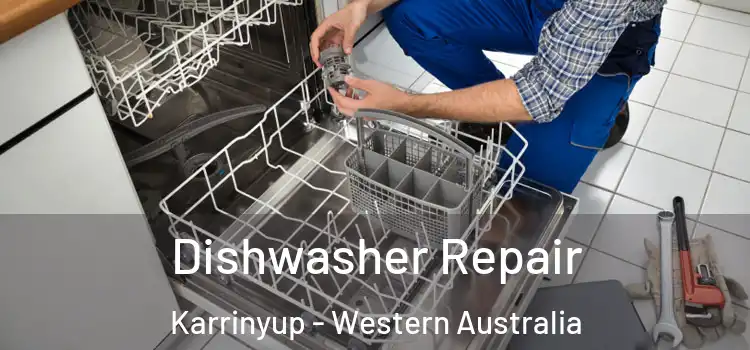 Dishwasher Repair Karrinyup - Western Australia