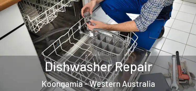 Dishwasher Repair Koongamia - Western Australia