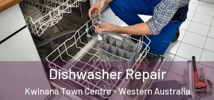 Dishwasher Repair Kwinana Town Centre - Western Australia