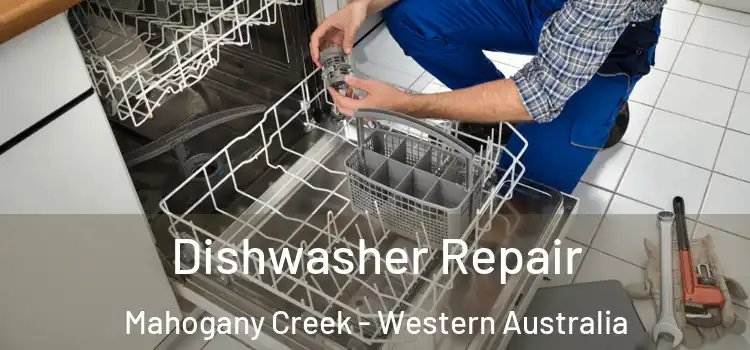 Dishwasher Repair Mahogany Creek - Western Australia
