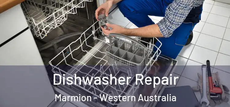 Dishwasher Repair Marmion - Western Australia