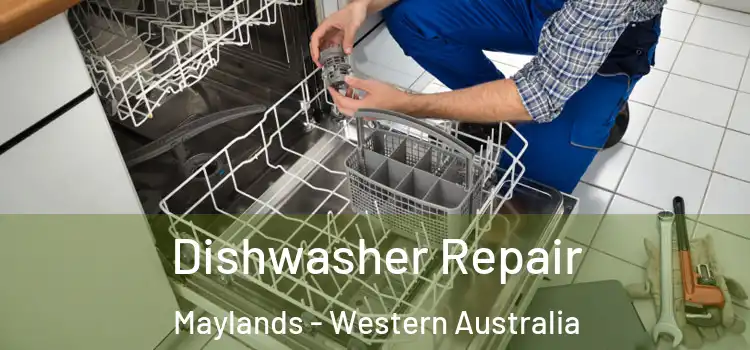 Dishwasher Repair Maylands - Western Australia