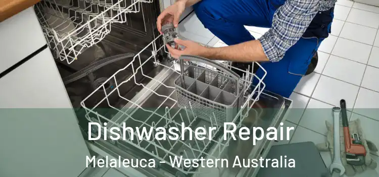 Dishwasher Repair Melaleuca - Western Australia