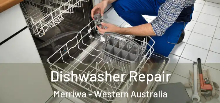 Dishwasher Repair Merriwa - Western Australia