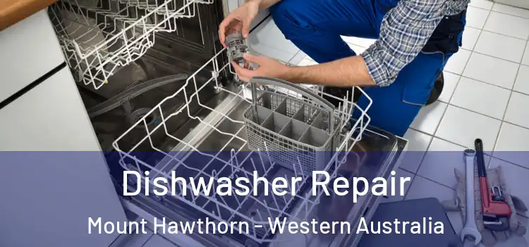 Dishwasher Repair Mount Hawthorn - Western Australia