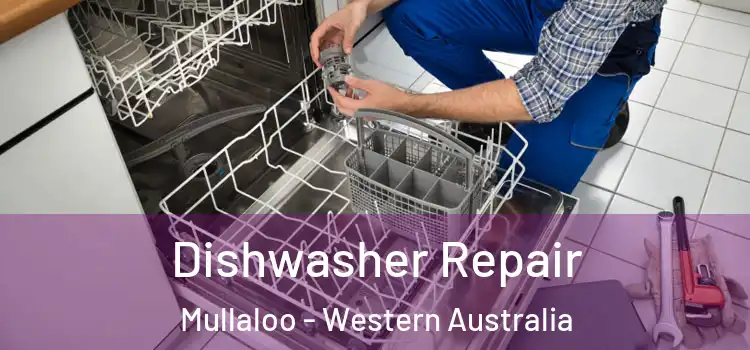 Dishwasher Repair Mullaloo - Western Australia