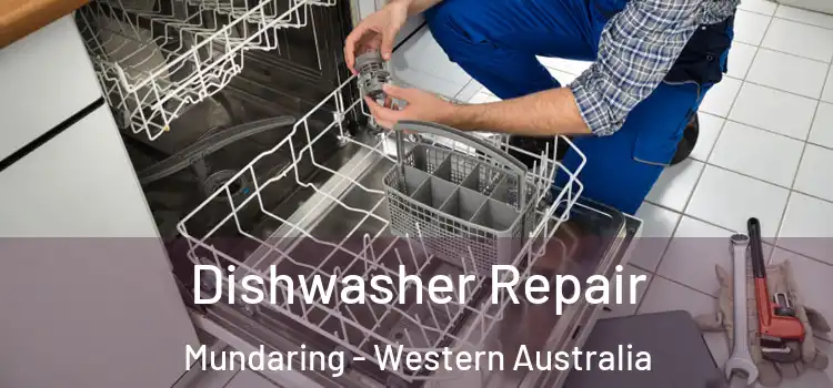 Dishwasher Repair Mundaring - Western Australia
