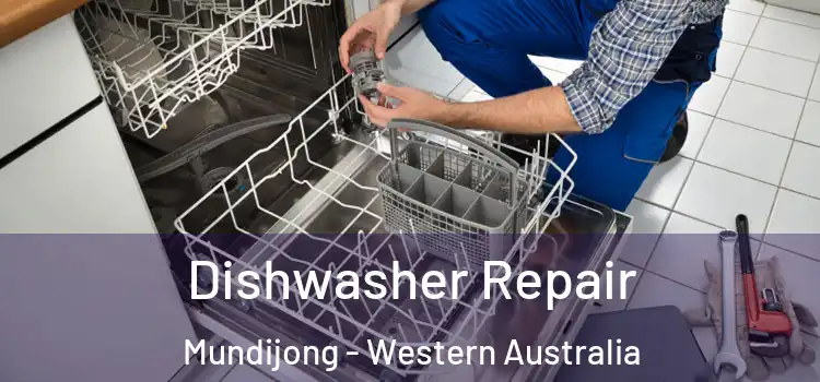 Dishwasher Repair Mundijong - Western Australia
