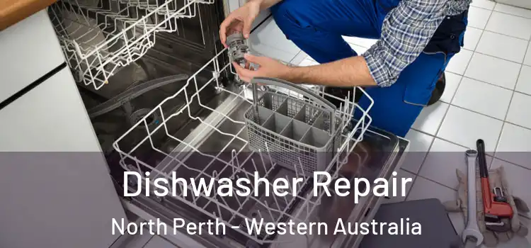 Dishwasher Repair North Perth - Western Australia