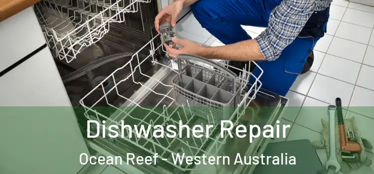 Dishwasher Repair Ocean Reef - Western Australia