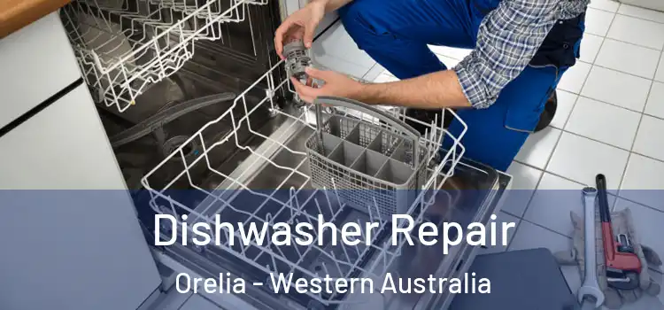 Dishwasher Repair Orelia - Western Australia