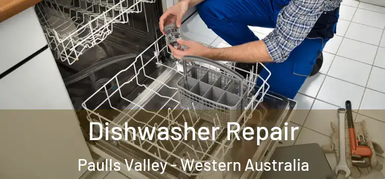 Dishwasher Repair Paulls Valley - Western Australia