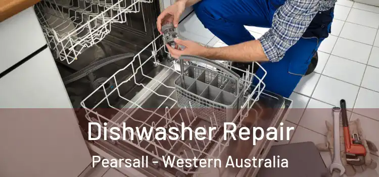 Dishwasher Repair Pearsall - Western Australia