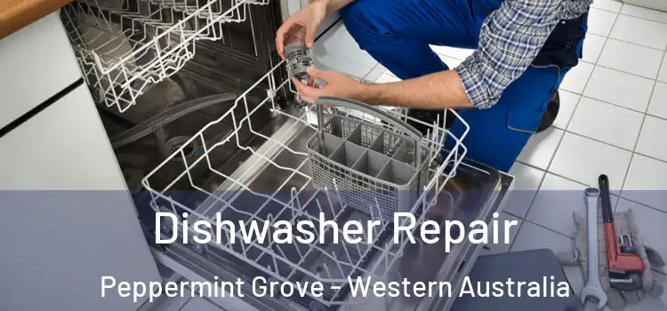 Dishwasher Repair Peppermint Grove - Western Australia