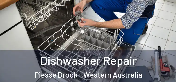 Dishwasher Repair Piesse Brook - Western Australia