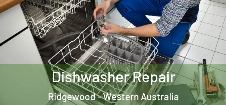 Dishwasher Repair Ridgewood - Western Australia