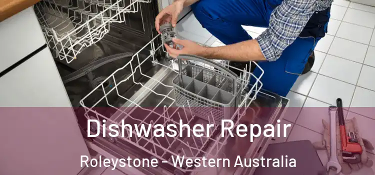 Dishwasher Repair Roleystone - Western Australia