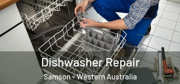 Dishwasher Repair Samson - Western Australia