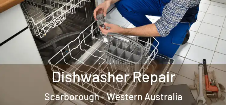 Dishwasher Repair Scarborough - Western Australia